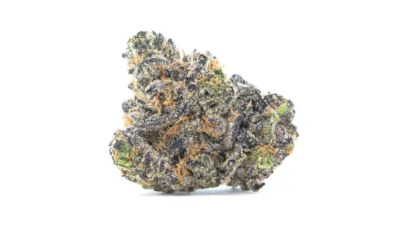 Apple Fritter